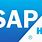 SAP HANA Logo.png