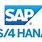 SAP Logo S4hana