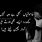 Sad Love Quotes in Urdu