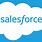 Salesforce Cloud Logo White