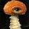 Scott Scheidly Art Mushrooms