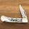 Scrimshaw Pocket Knife