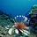 Scuba Diving Boracay