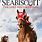 Seabiscuit Images