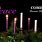 Second Sunday of Advent Peace Candle