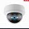 Security Camera Eye