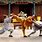 Shaolin Kung Fu Fight