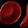 Shape of Red Blood Cells