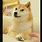 Shiba Inu Dog Doge