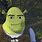 Shrek Roblox Avatar