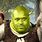 Shrek Shaq Meme