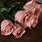 Silk Rose Buds