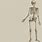 Skeleton Anatomy Wallpaper