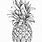 Sketch of a Pineapple