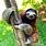 Sloth Paw