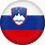 Slovenia Flag Icon