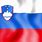 Slovenia Flag-Waving