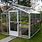 Small Glass Greenhouse