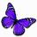 Small Purple Butterfly