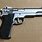 Smith and Wesson 4506-1