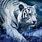 Snow Tiger Background