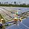 Solar Farm Construction