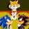 Sonic/Tails Shadow
