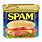 Spam Can PNG