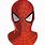 Spider-Man Mask Adult