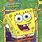 Spongebob 1st Season DVD
