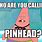 Spongebob Pinhead Meme