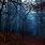 Spooky Forest Desktop Wallpaper
