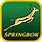 Springboks South Africa Logo