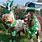 St. Patrick's Day Horse