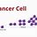 Stages of Cancer Cell