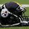 Steelers New Helmet
