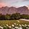 Stellenbosch Wine Estates
