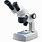 Stereo Microscope