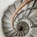 Stone Spiral Stairs