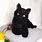 Stuffed Black Cat