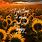 Sunflower Wallpaper Quotes