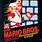 Super Mario Bros NES Box