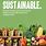 Sustainable Food Poster