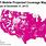 T-Mobile Phone Service Map