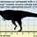 T-Rex Scale