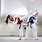 Taekwondo Girl Kick