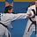 Taekwondo Punch