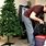 Taking Down Christmas Tree