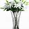 Tall Glass Flower Vases