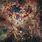 Tarantula Nebula Constellation